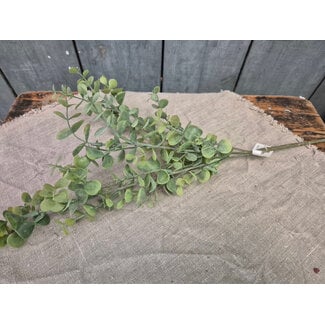 Eucalyptus spray - 65cm - licht groen