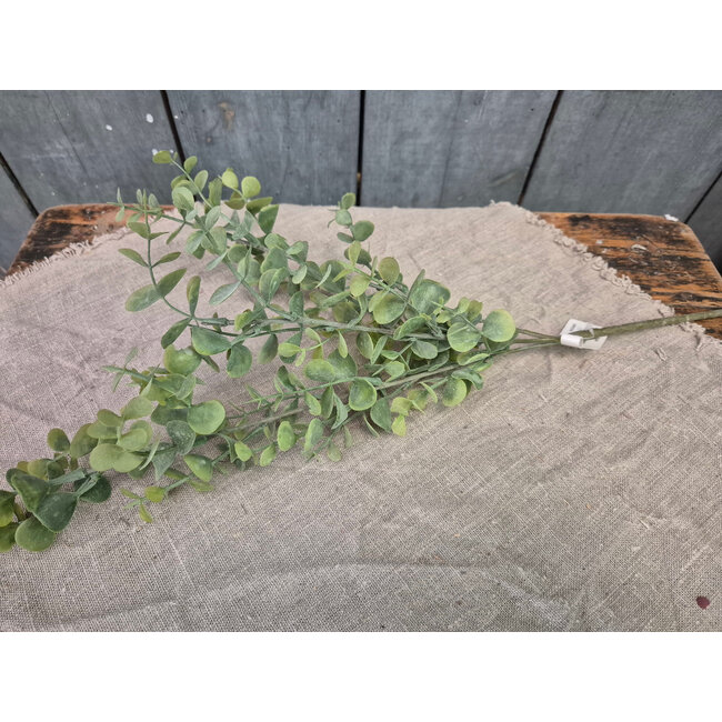Eucalyptus spray - 65cm - licht groen