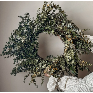 Eucalyptus krans 60cm