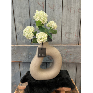 Still 46055 - D Vase L Taupe -