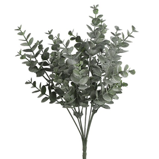 Countryfield Eucalyptus groen-L20B20H35CM
