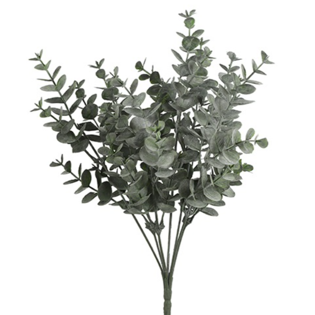 Countryfield Eucalyptus groen-L20B20H35CM