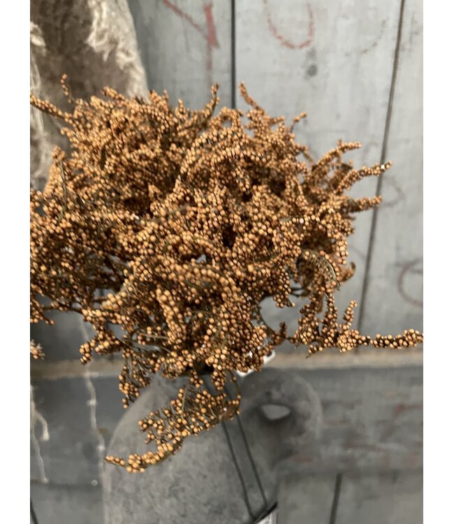 Countryfield # Limonium bundel top bruin/roest- kunst --L15B15H41CM