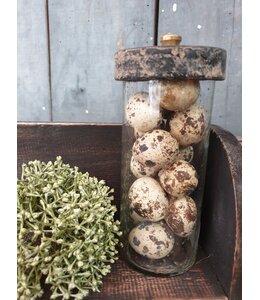 ## wordt niet verzonden - Glazen potje met deksel Lotte | small - 6 x 6 x 14 cm - grey finish