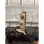 Countryfield # Beeldje - dame - ca.  20 cm hoog - per stuk