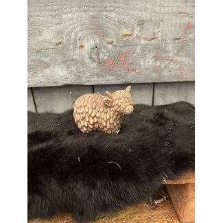 Countryfield # Schotse hooglander Jon S bruin-L10B5,5H8CM