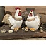 # Keramieken kip of haan 19 cm