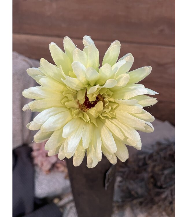 # Groene gerbera 58 cm