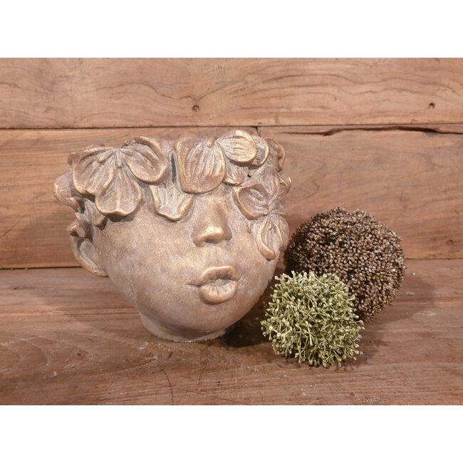 # Planter Face Concrete Gold 26x23x21cm
