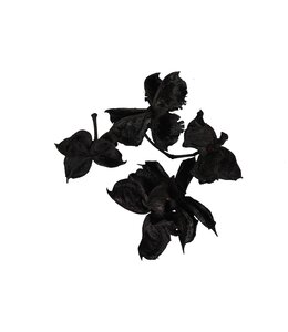 pb. cotton pod black 250 gr