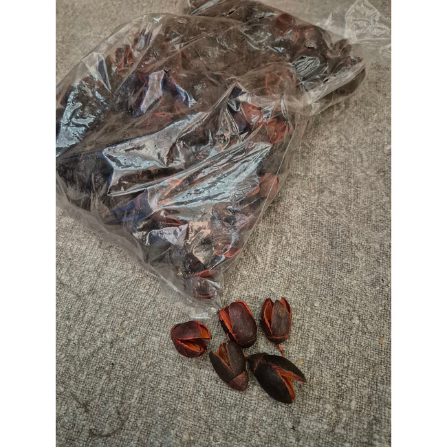 # Bakuli cognac zak á 500 gram