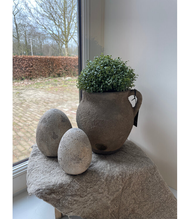 # Soleirolia lvs Potted Ball 15cm