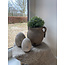 # Soleirolia lvs Potted Ball 15cm