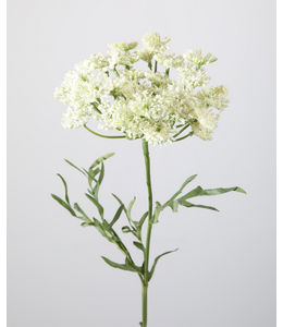 Dille Spray 59cm