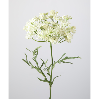 Dille Spray 59cm