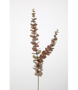 # Eucalyptus Stem 90cm