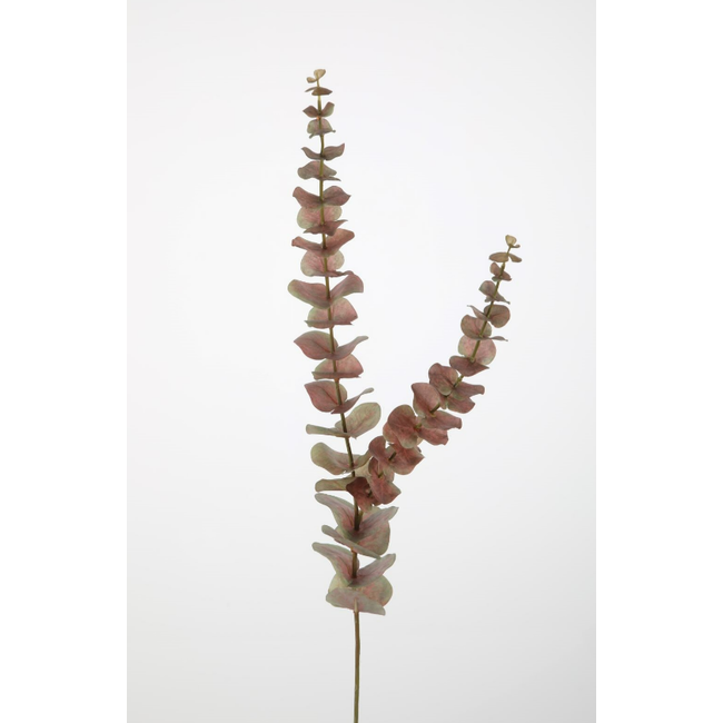 Eucalyptus Stem 90cm