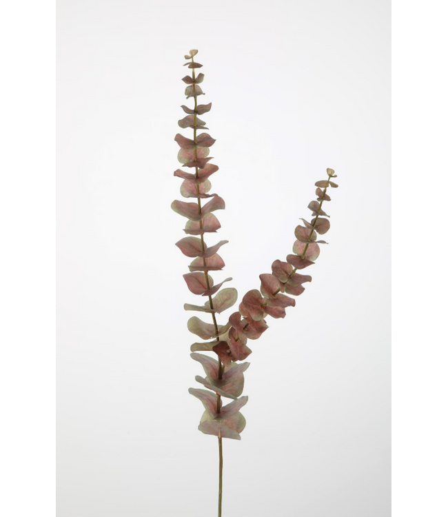 # Eucalyptus Stem 90cm