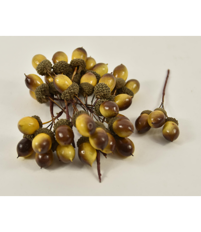 cb. 36 acorn/wire light brown 25 mm - per stuk