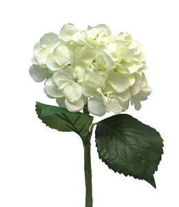 Hydrangea Artist cream 48cm