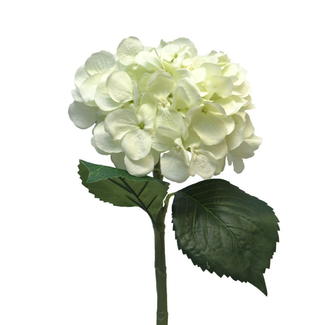 Hydrangea Artist cream 48cm