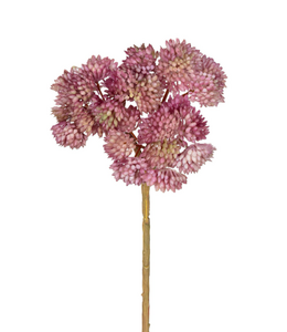 Sedum pick l20cm oud roze
