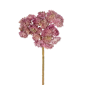Sedum pick l20cm oud roze