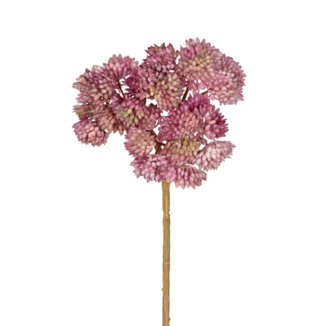 Sedum pick l20cm oud roze