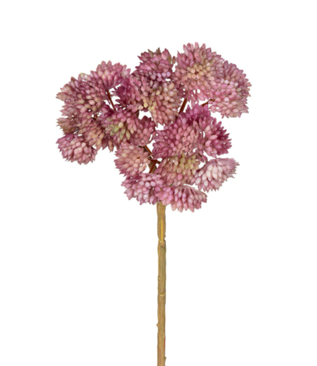 Sedum pick l20cm oud roze