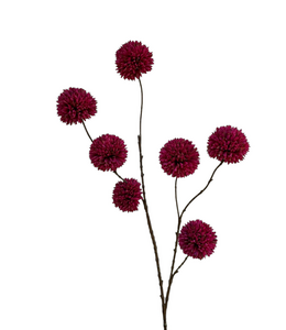 pompom spray x 7 lg 98 cm burgundy