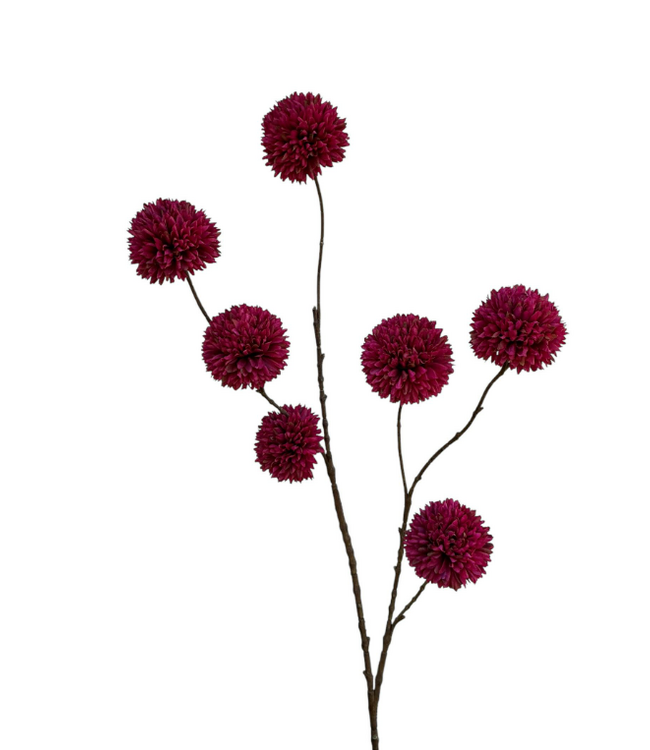 pompom spray x 7 lg 98 cm burgundy