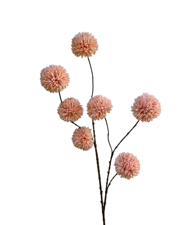 pompom spray x 7 lg 98 cm salmon