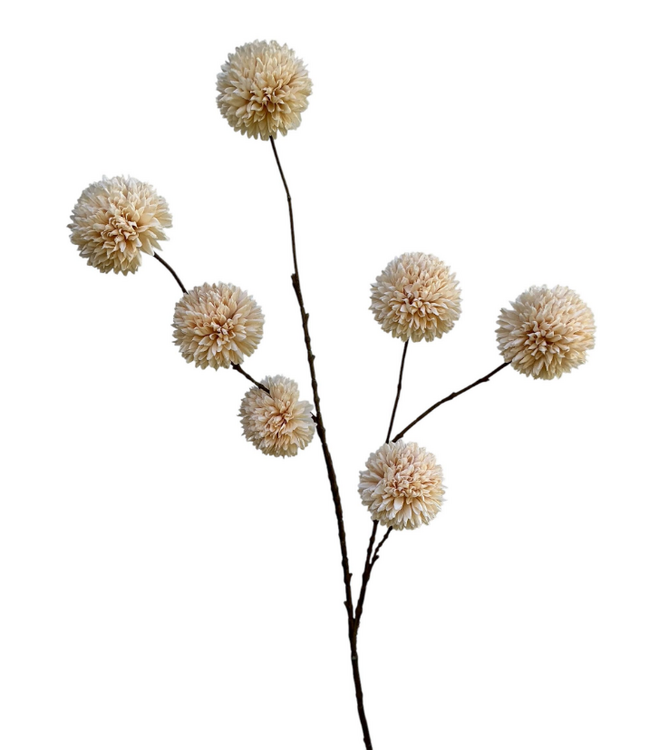 pompom spray x 7 lg 98 cm cream
