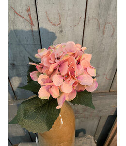 Hydrangea Artist dk pink 48cm