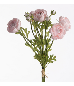 Ranunculus Bundle x5 L38cm w/raffia Pink