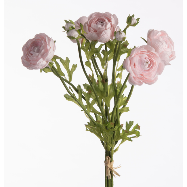 Ranunculus Bundle x5 L38cm w/raffia Pink