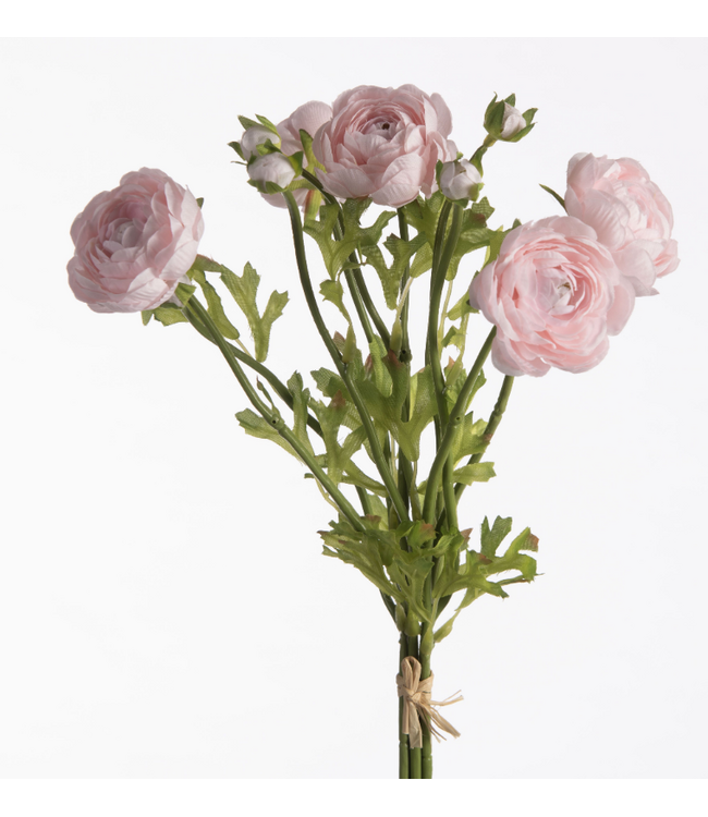 Ranunculus Bundle x5 L38cm w/raffia Pink