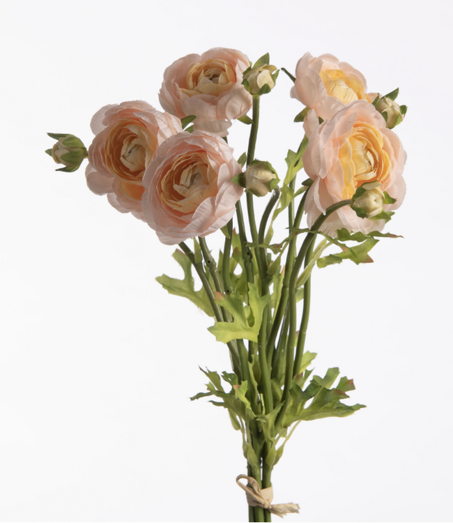 Ranunculus Bundle x5 L38cm w/raffia Beige