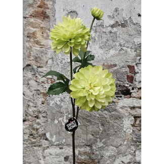 # Flowr dahlia groen 72cm