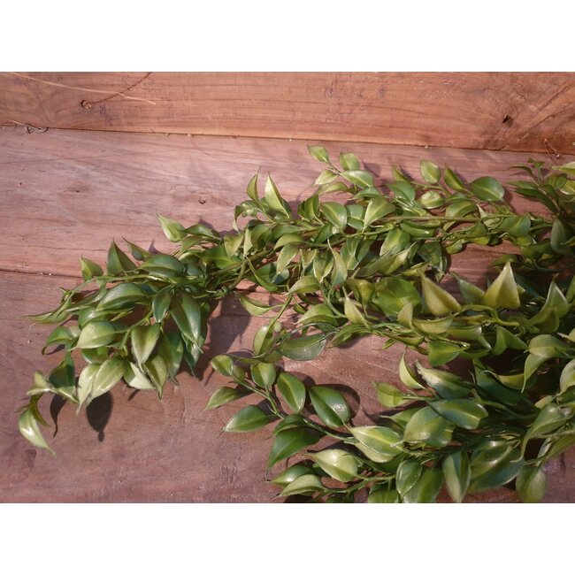 Hanger Lipstick Green 107 cm