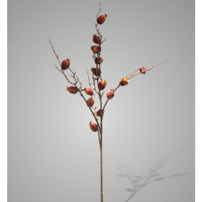 ## Poppy Fructus Ant. Brown 9 cm