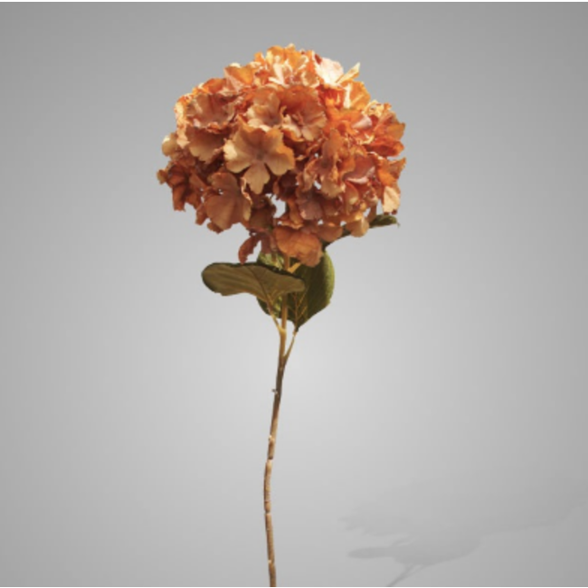 # Hydrangea Mauve Orange 85cm