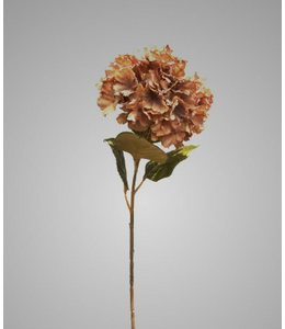 Hydrangea Mauve Brown 85 cm