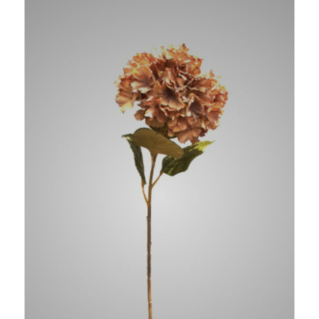 # Hydrangea Mauve Brown 85 cm