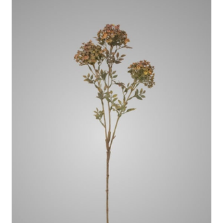 # Bouvardia Stem Grey 70 cm