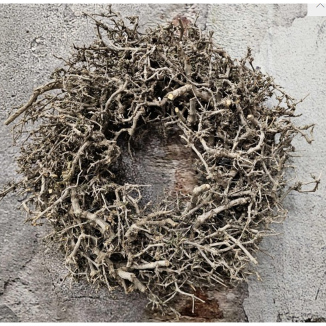 # Desert bush naturel 30cm