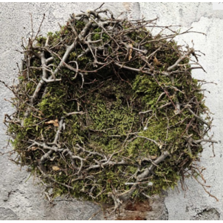 Moss nest natural 30cm