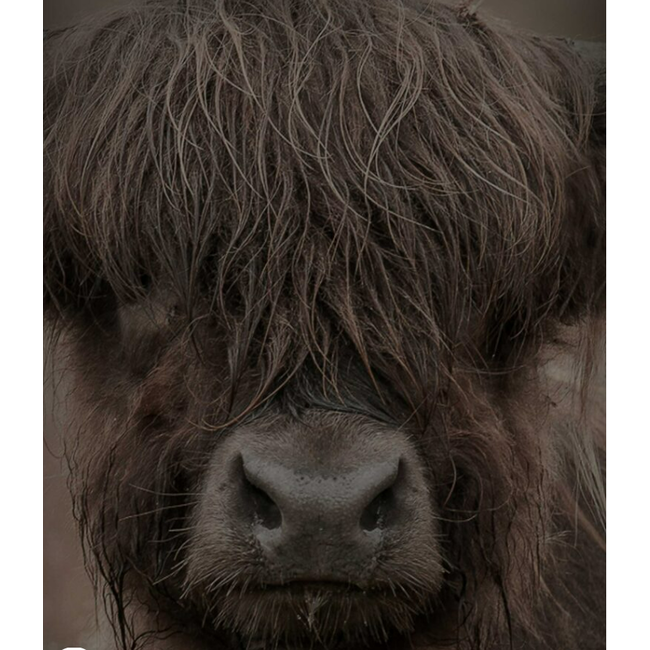 Decobordje Hooglander A4 - 297 x 210 x 9 mm