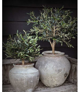 Tuinposter "de twee potten olijf"  60x80, met latjes
