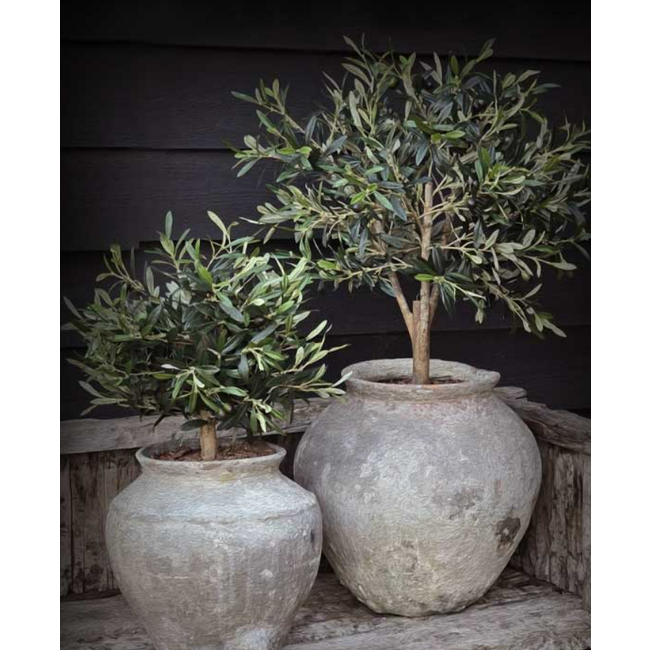 Tuinposter "de twee potten olijf"  60x80, met latjes